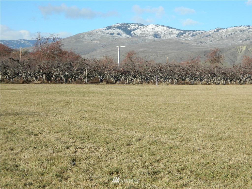 111 Holmes Road Tonasket, WA 98855 - Photo 11 of 21 Gallery Image 11