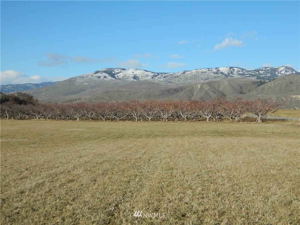 111 Holmes Road Tonasket, WA 98855 - Photo 14 of 21 Gallery Image 14
