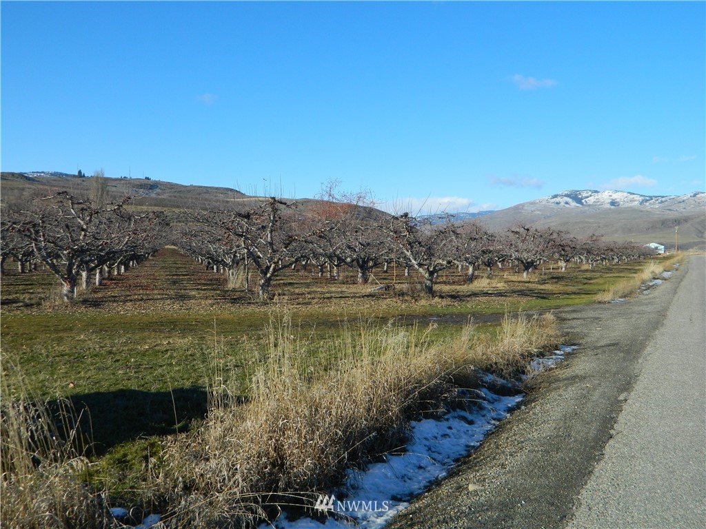 111 Holmes Road Tonasket, WA 98855 - Photo 18 of 21 Gallery Image 18