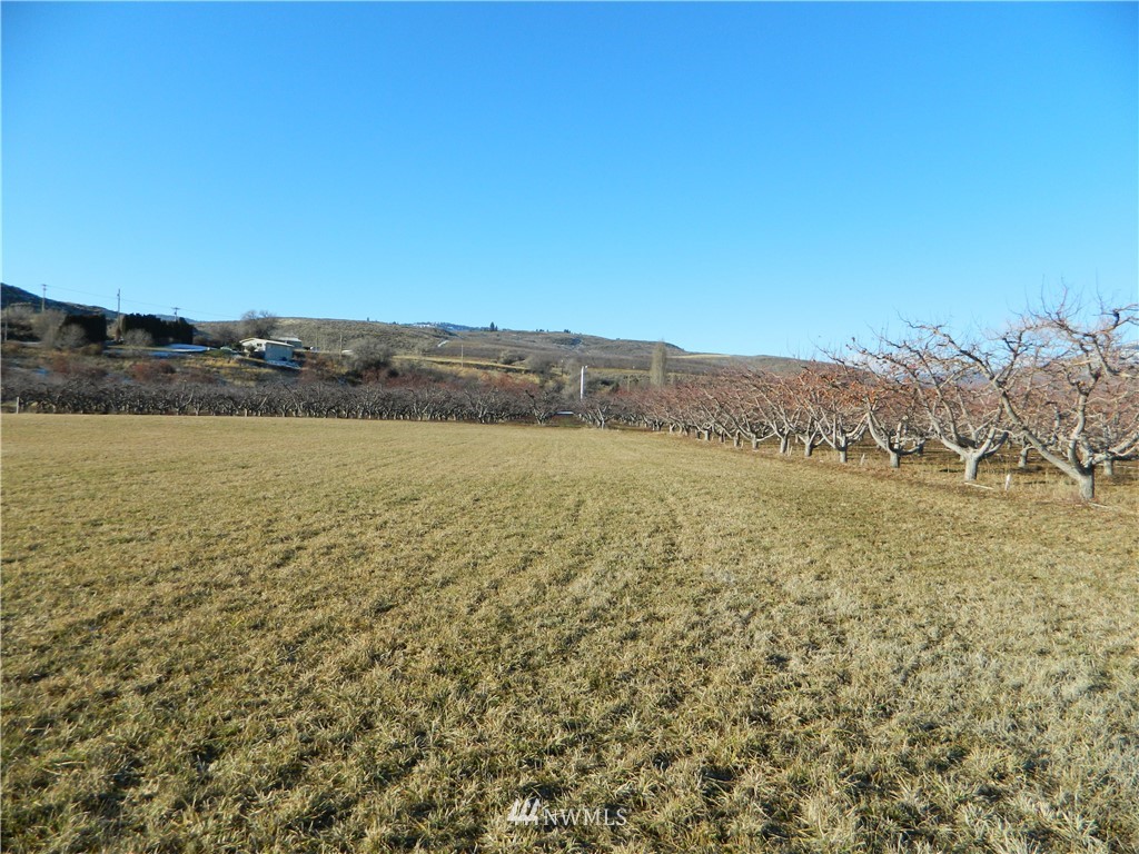 111 Holmes Road Tonasket, WA 98855 - Photo 8 of 21 Gallery Image 8