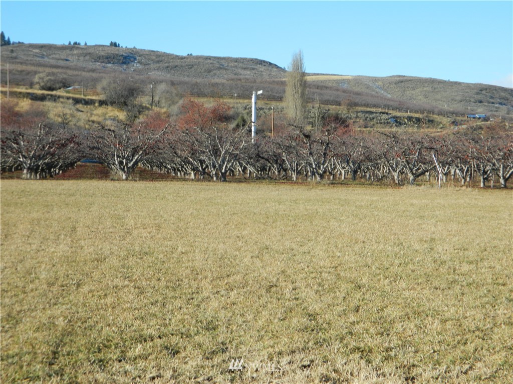 111 Holmes Road Tonasket, WA 98855 - Photo 10 of 21 Gallery Image 10