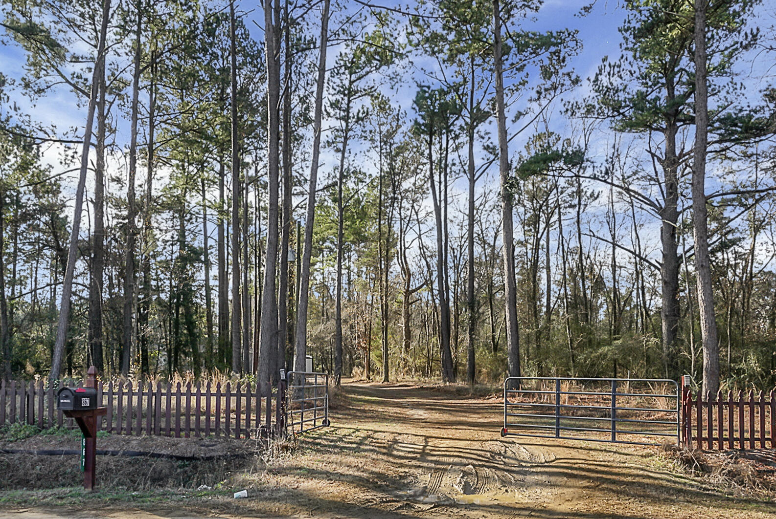 867 Fauling Road St. Stephen, SC 29479 - Photo 2 of 37 DSC01815