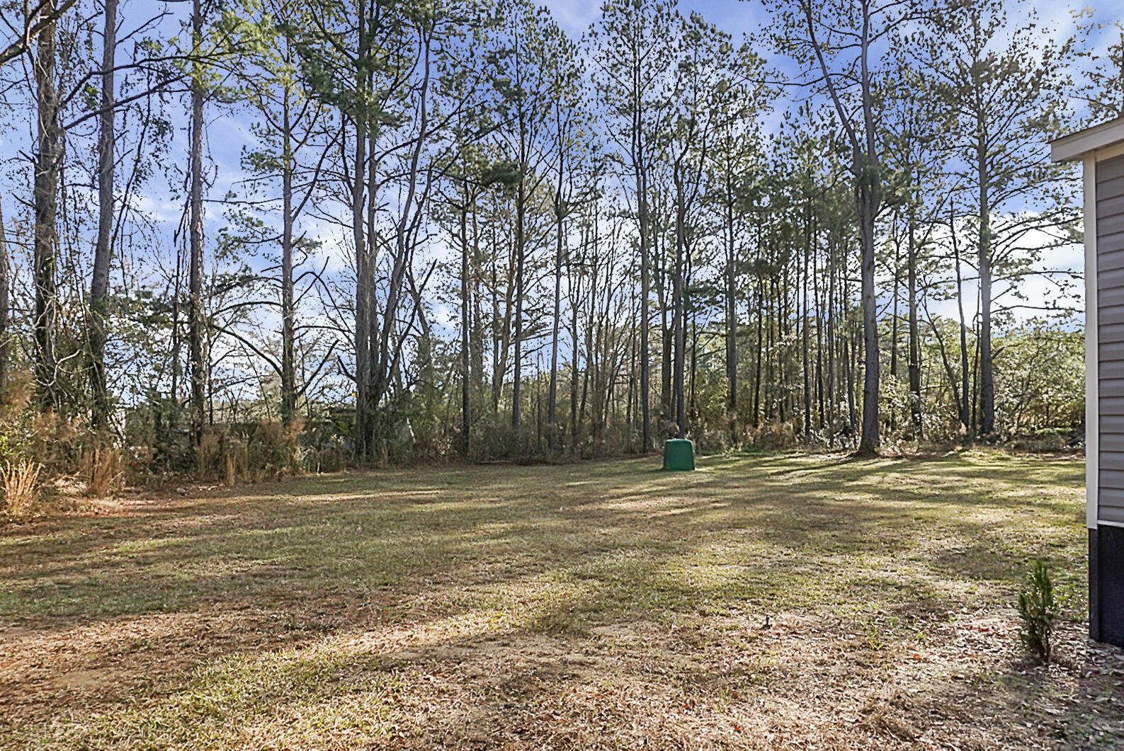 867 Fauling Road St. Stephen, SC 29479 - Photo 5 of 37 DSC01833