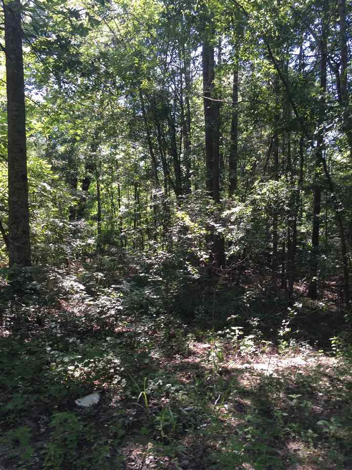Lot 148 Monmouth Road, Unit 148 Florence, MS 39073 - Photo 1 of 1 Photo 1