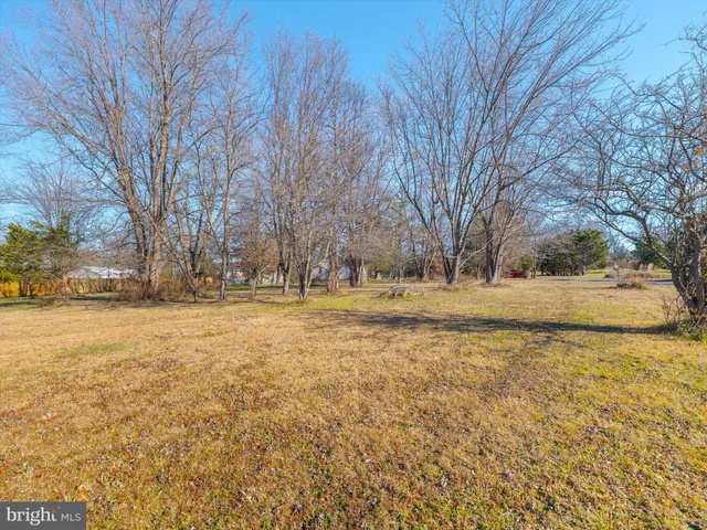 a view of yard covered with snow