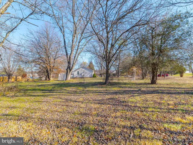 a view of road with large trees