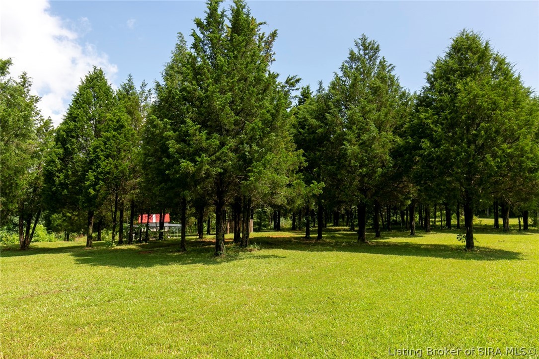 799 North Mulzer Quarry Road English, IN 47118 - Photo 17 of 27