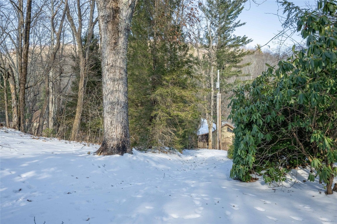 80 Wake Robin Road Scaly Mountain, NC 28775 - Photo 8 of 58 Gallery Image 8