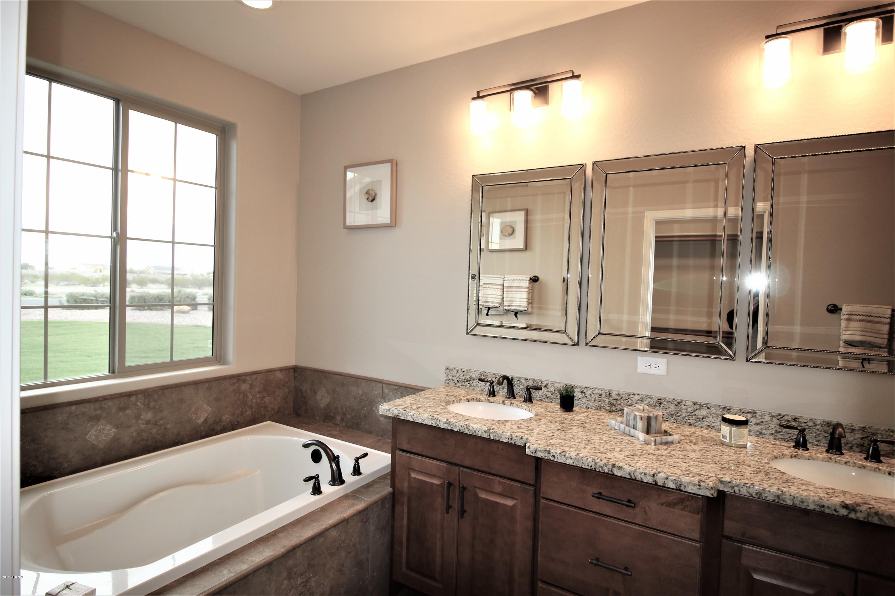 1736 West Tamar Road Phoenix, AZ 85086 - Photo 14 of 15 2311 MASTER VANITY & TUB