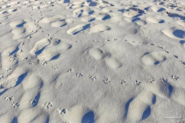 a spacious bedroom with a large window and a table