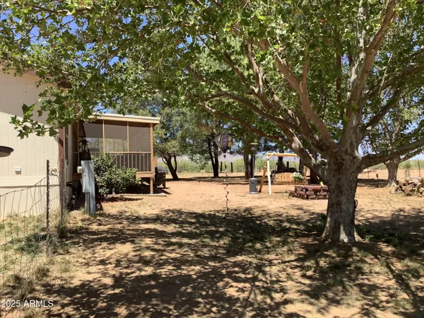 a view of a tree in the middle of a yard