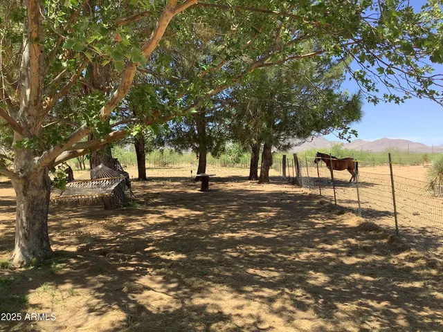 a view of outdoor space with trees