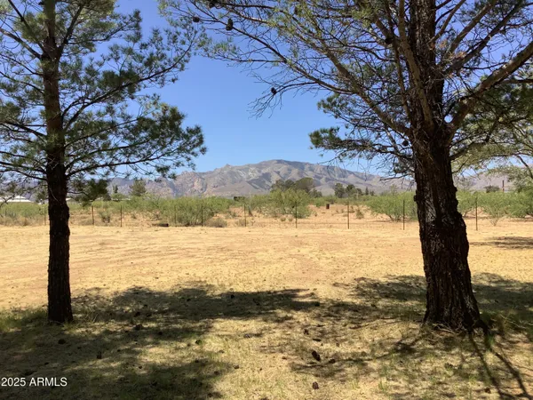 a view of ocean with a tree
