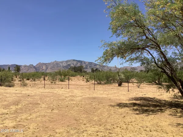 a view of yard with trees