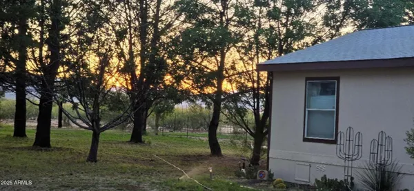 a view of trees with a tree