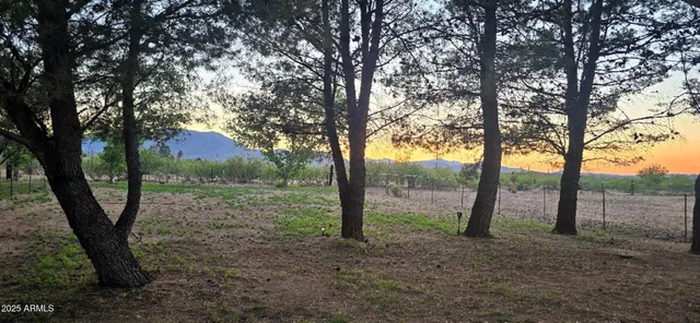 a view of a chairs and table in the backyard
