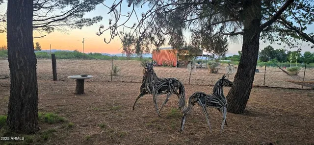 a view of a forest filled with trees