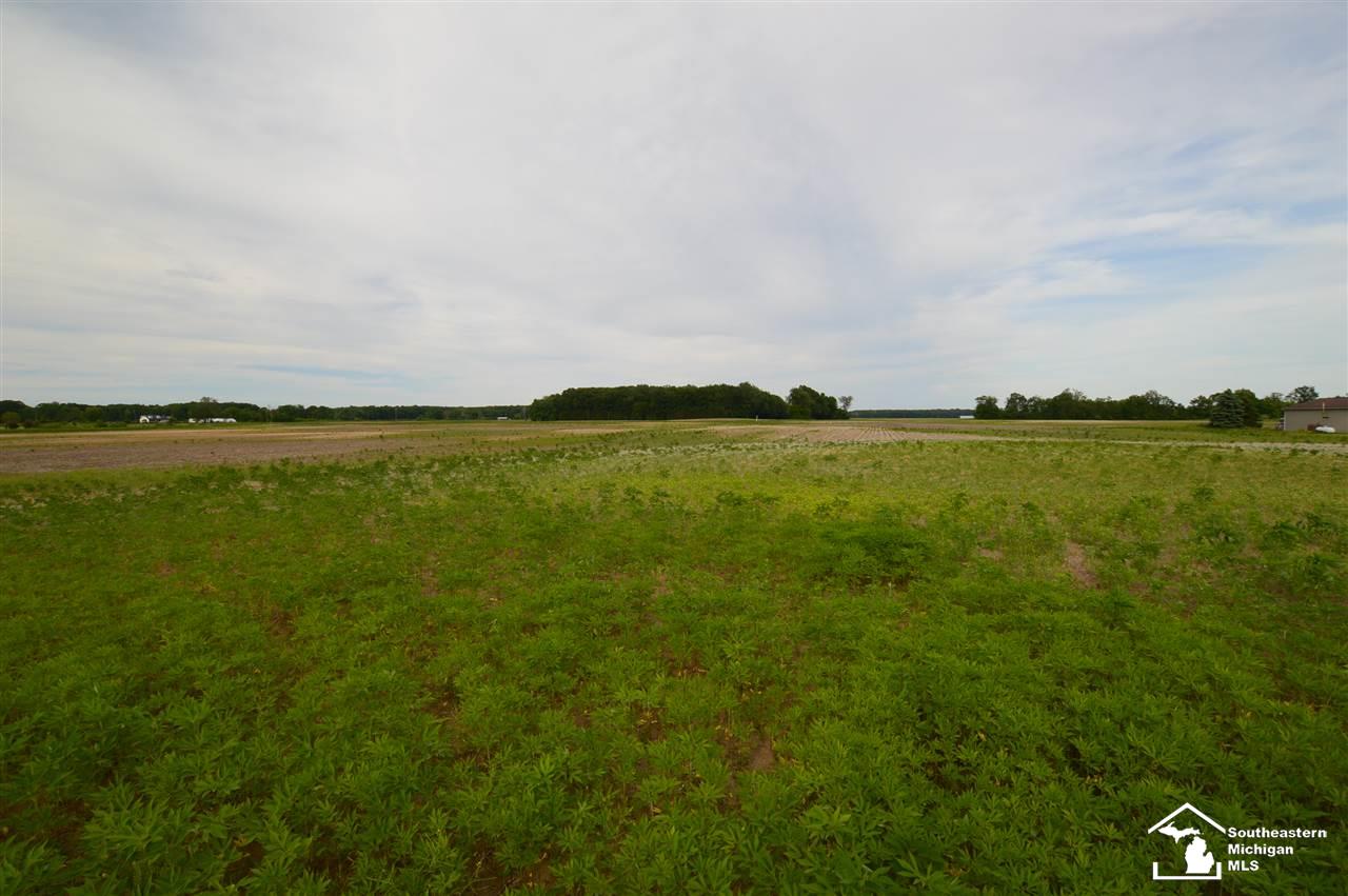 30 Yensch Road Dundee, MI 48131 - Photo 3 of 7
