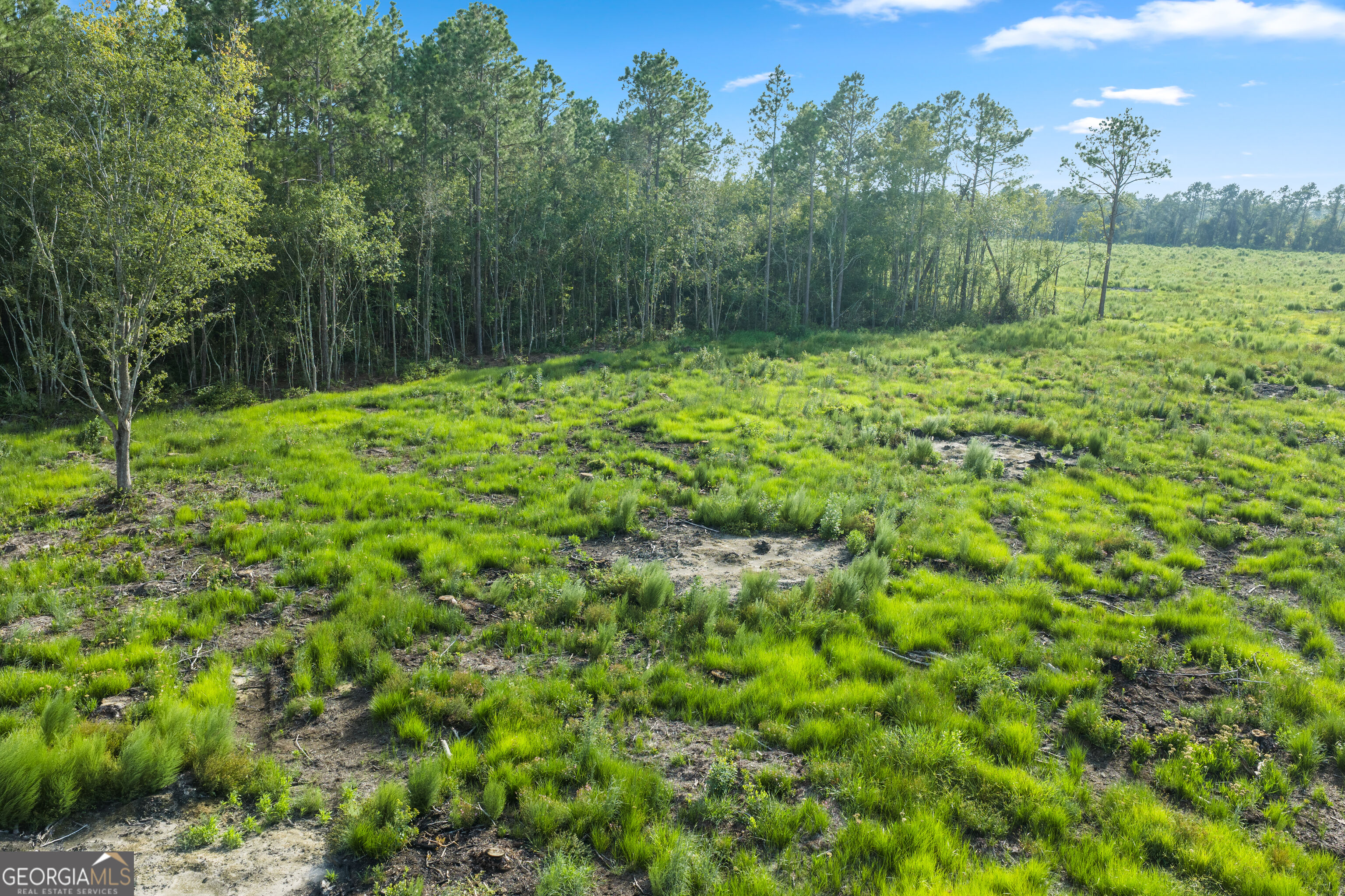 0 Piney Bluff Road Baxley, GA 31513 - Photo 10 of 13 Gallery Image 10