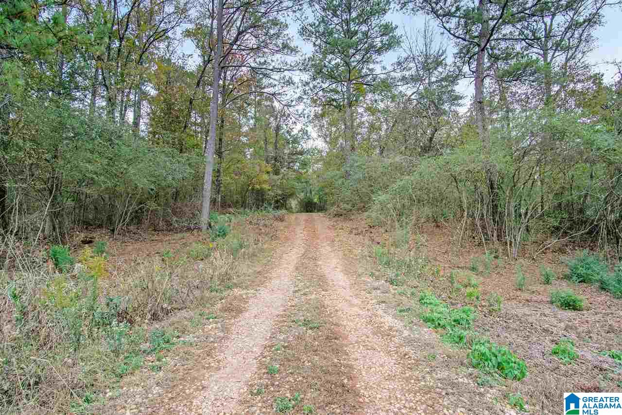 5636 Myron Clark Road McCalla, AL 35111 - Photo 21 of 22