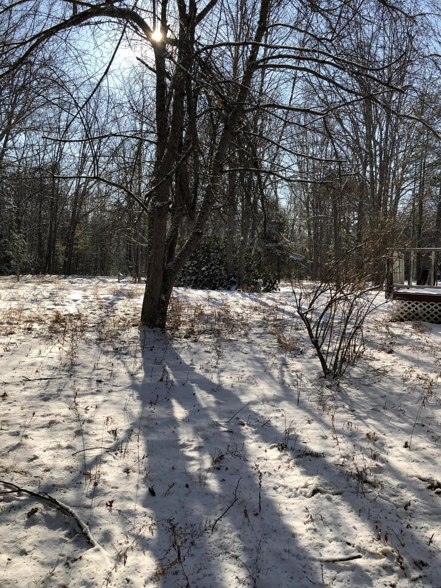 140 Walker Road Woolwich, ME 04579 - Photo 13 of 16 IMG_2862