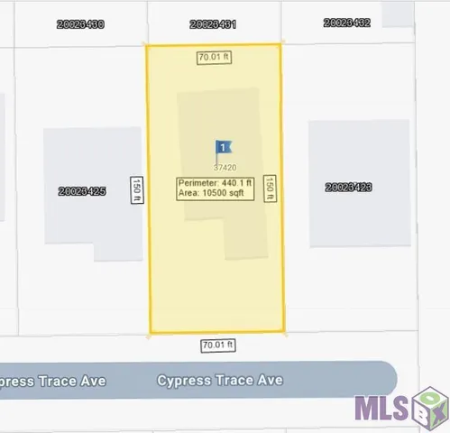 $335,000 | 37420 Cypress Trace Avenue, Geismar, LA 70734