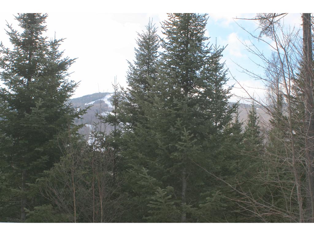 85 Hannah Loop, Unit 13 Carroll, NH 03595 - Photo 27 of 27 Gallery Image 27