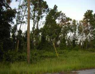 Douglas Rd Port North Port, FL 34288 - Photo 2 of 3