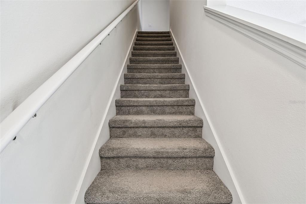 32173 Turtle Grace Loop Wesley Chapel, FL 33545 - Photo 18 of 41 a view of entryway
