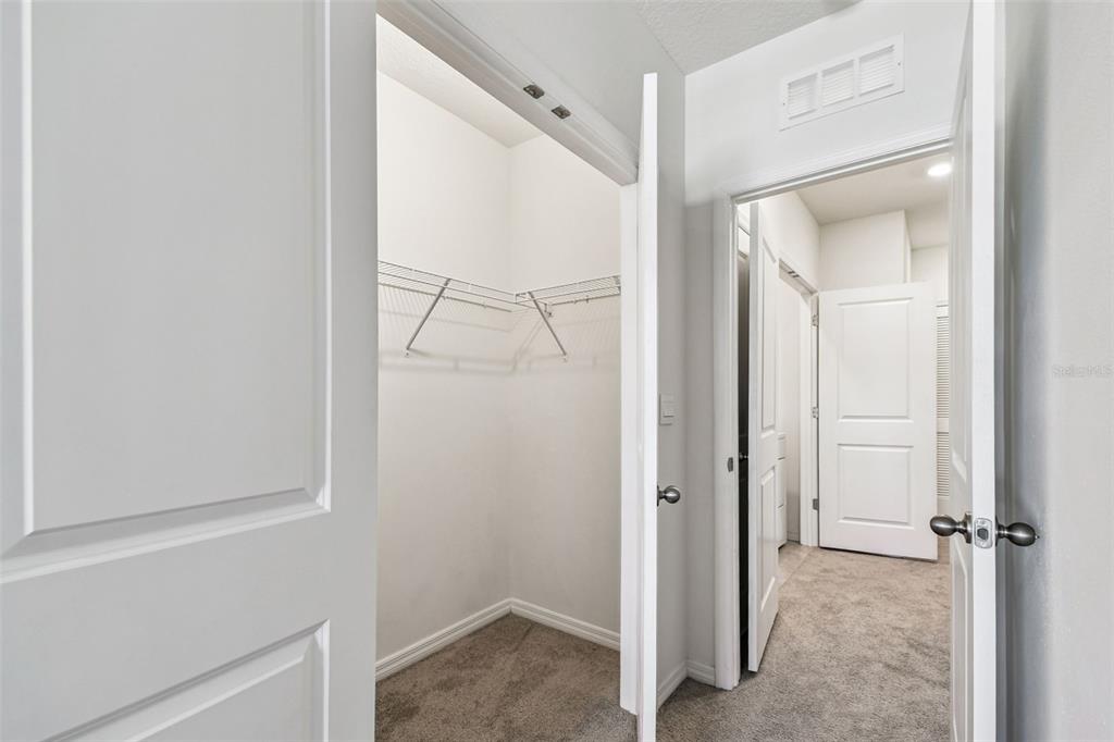 32173 Turtle Grace Loop Wesley Chapel, FL 33545 - Photo 34 of 41