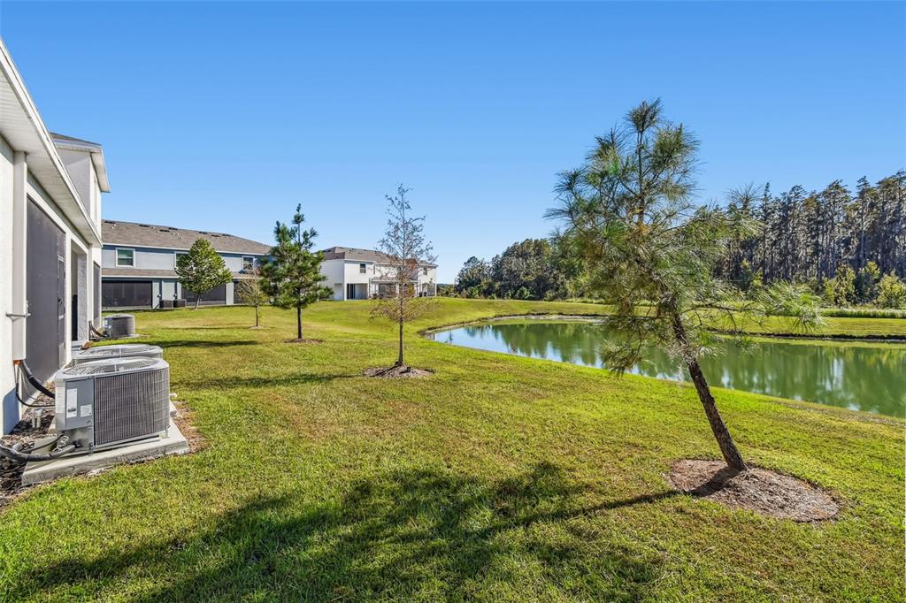 32173 Turtle Grace Loop Wesley Chapel, FL 33545 - Photo 37 of 41 a view of a lake with a house in the background