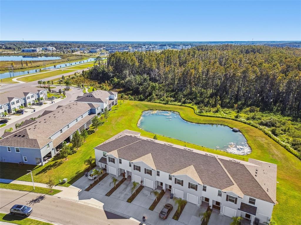 32173 Turtle Grace Loop Wesley Chapel, FL 33545 - Photo 38 of 41 a view of a swimming pool with outdoor seating and city view