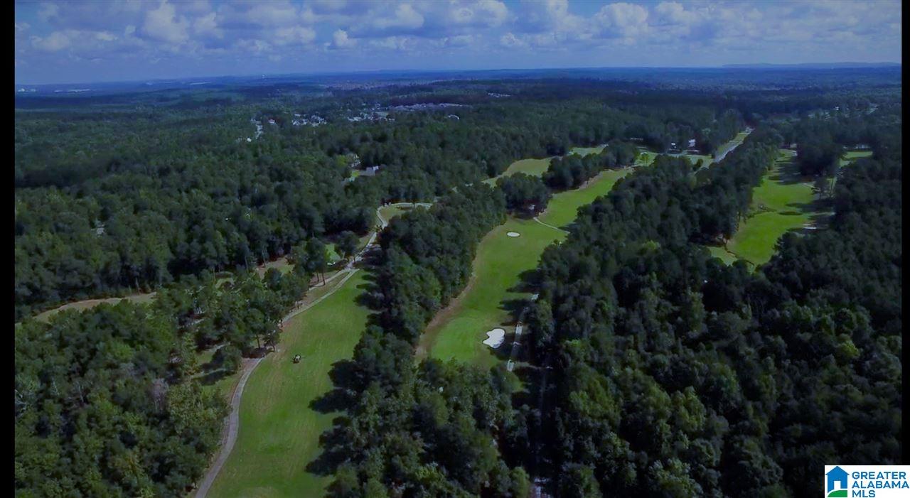 1060 Timberline Ridge Calera, AL 35040 - Photo 4 of 15