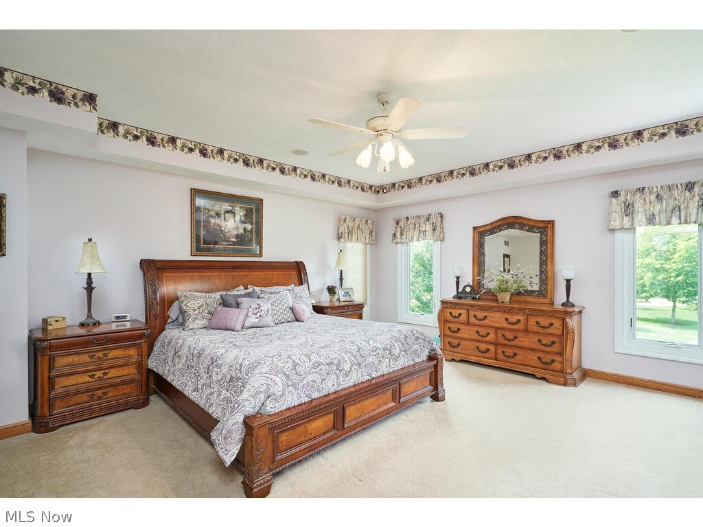 3735 Roberts Ridge Akron, OH 44333 - Photo 13 of 45 Carpeted bedroom with ceiling fan