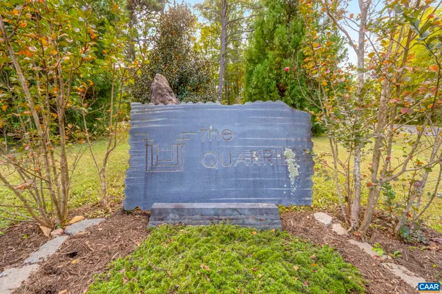 a view of a yard with plants and large trees