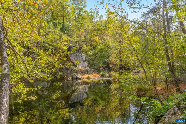 a view of a yard with plants and wooden fence