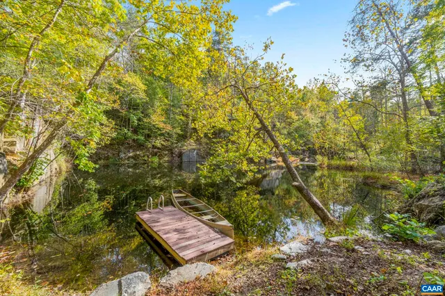 a close up of a plant