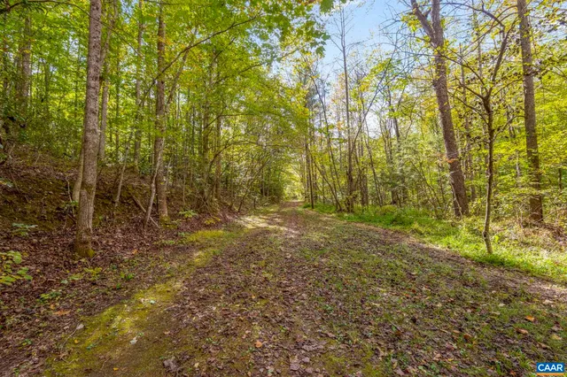 a view of backyard with green space
