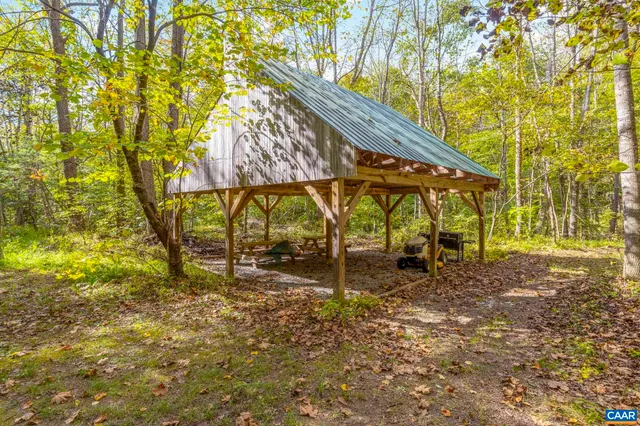 a view of a yard with plants and large trees
