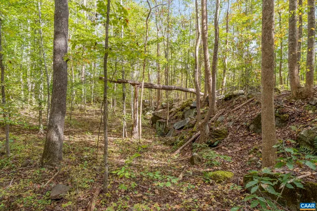 a view of outdoor space and green space