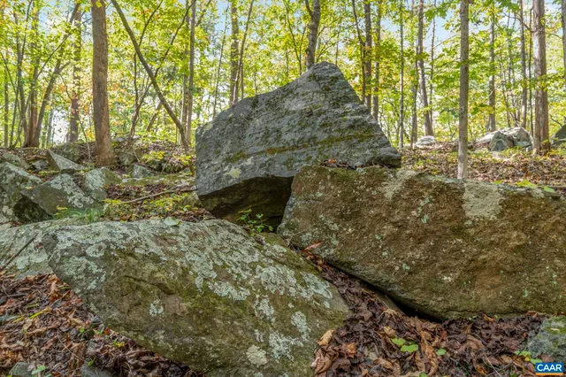 a bathroom with a shower curtain