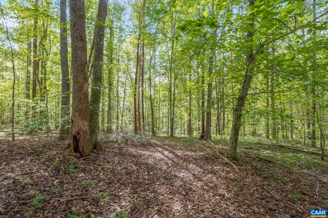 a view of outdoor space