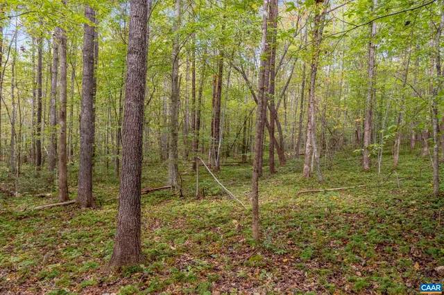 a view of outdoor space and trees