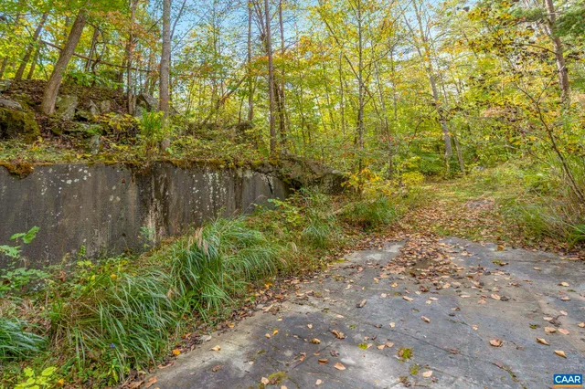 a backyard of a house with lots of green space and chair
