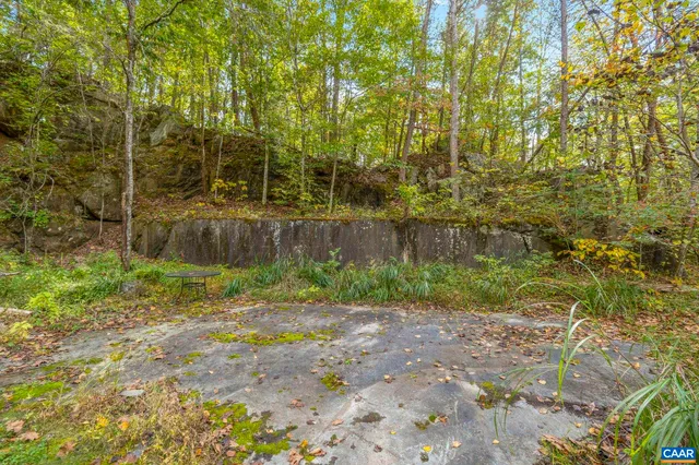 a backyard of a house with plants and large trees