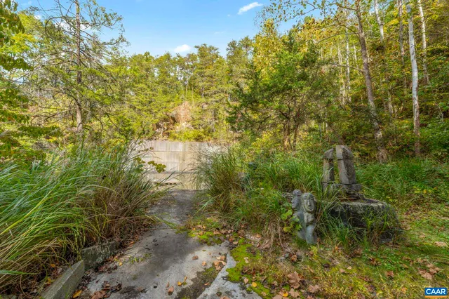 a view of a big yard with lots of bushes