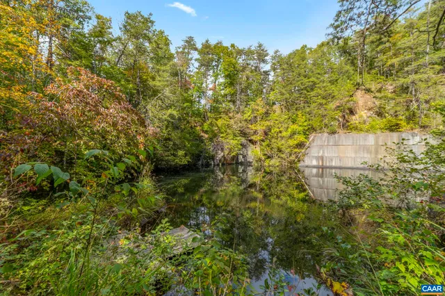 a view of a bunch of trees and bushes