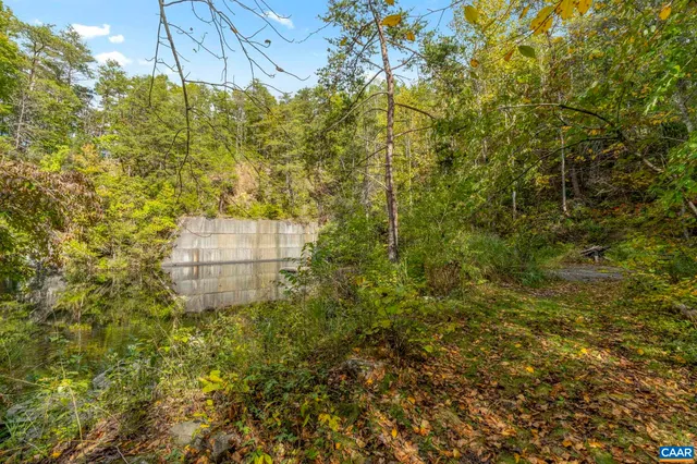 a backyard of a house with large trees and plants