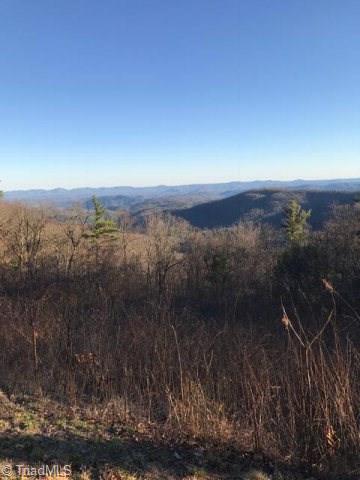 0 Benge Ashe Road Purlear, NC 28665 - Photo 2 of 3 Gallery Image 2