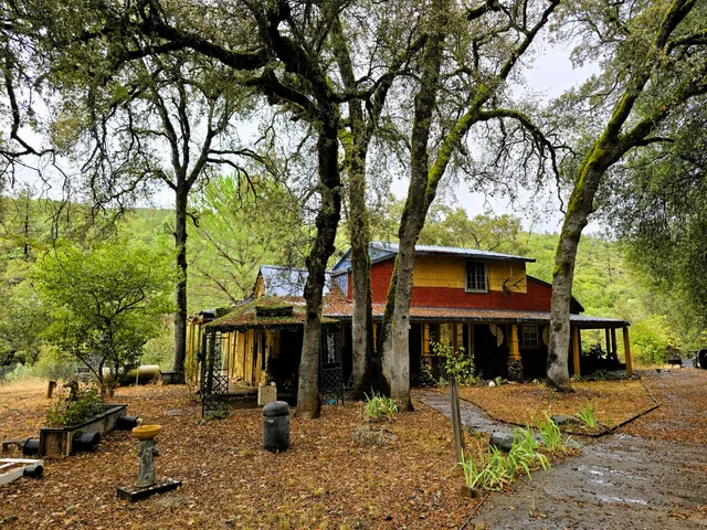 a front view of a house with a tree